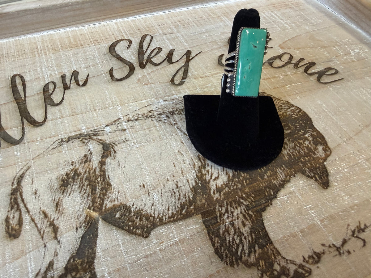 Avin Joe Sterling Silver Green Turquoise Ring Size 6, Long Rectangular Stone, Silver Bead Accents, Stamped Bezel, Southwestern Statement Ring
